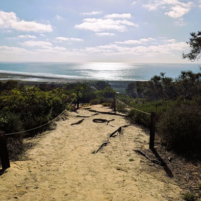Torrey Pines beach view
