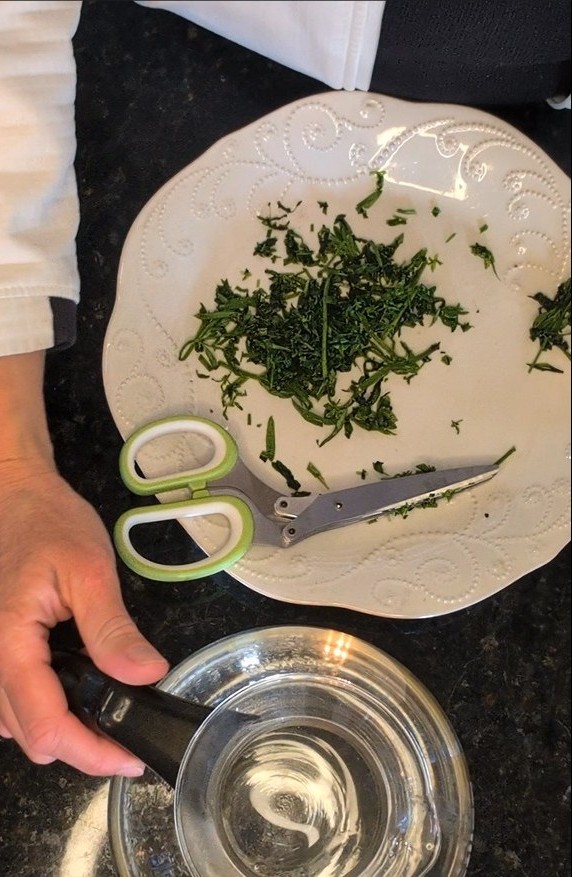 Cleaver tea in a glass tea pot.
