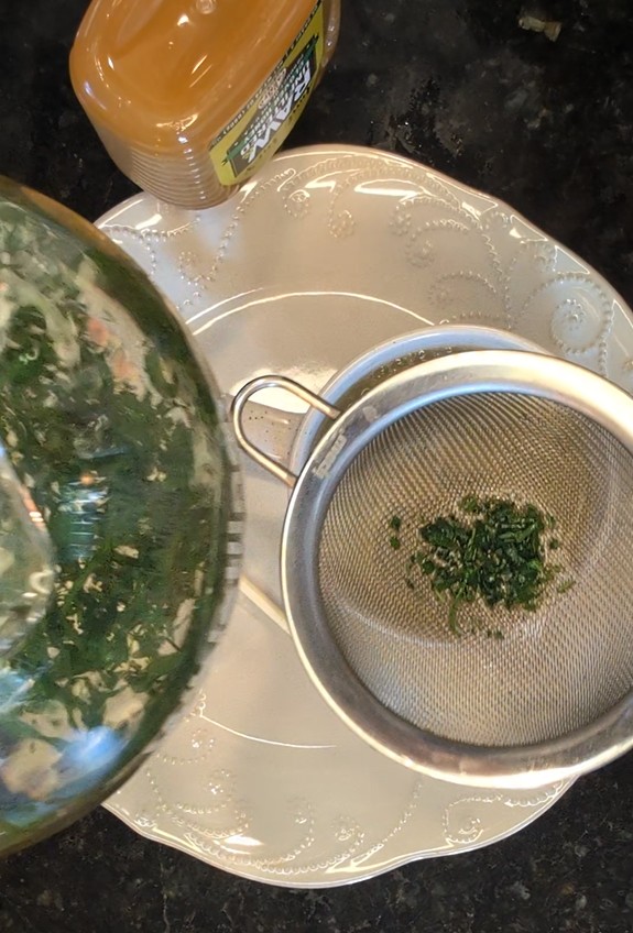 Straining cleaver tea.