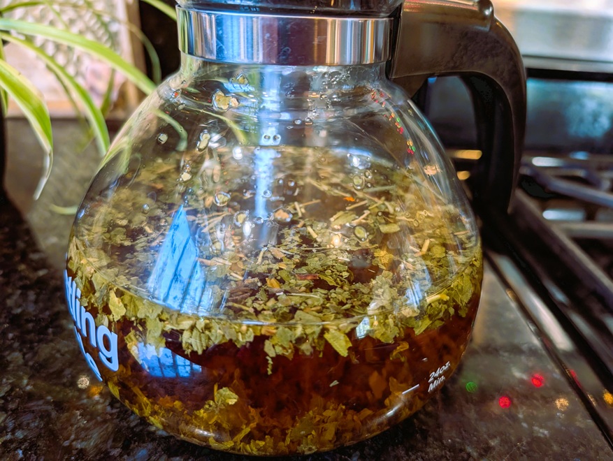 Steeping red raspberry leaf tea.